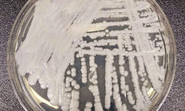 3dac3c2255deacde28e8cb99c68fe80b_1657970633_2934.jpg