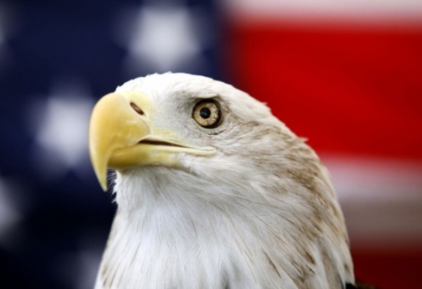 f5e72b37c7cc307e44b02b35ed66bfac_1735134020_2138.jpeg